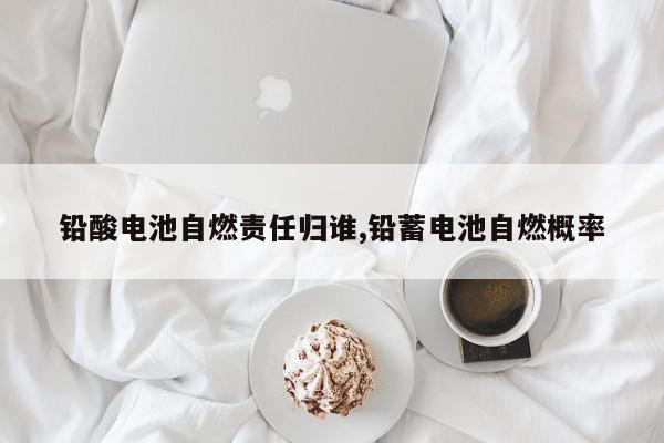铅酸电池自燃责任归谁,铅蓄电池自燃概率